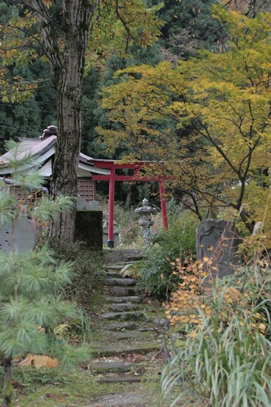 神社 鳥居 紅葉風景 神社 鳥居 紅葉風景