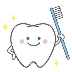 歯のイラスト 歯のイラスト